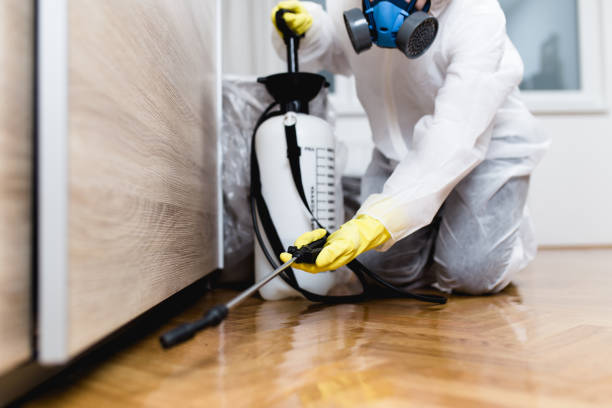 Best Residential Pest Control  in Claude, TX