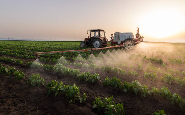 Professional Pest Control in Claude, TX