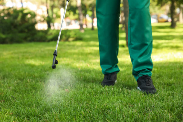 Best Best Pest Control Companies  in Claude, TX
