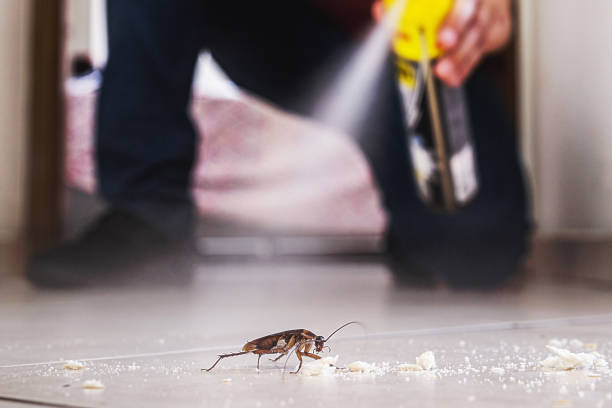 Best Pest Removal Services  in Claude, TX