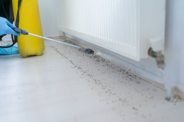 Best Wildlife Control Services  in Claude, TX